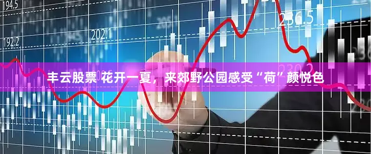 丰云股票 花开一夏，来郊野公园感受“荷”颜悦色