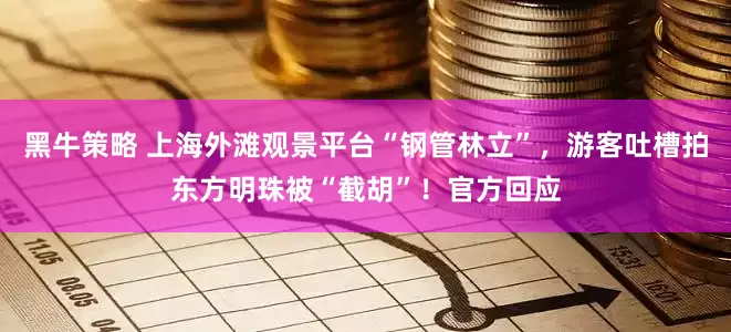 黑牛策略 上海外滩观景平台“钢管林立”，游客吐槽拍东方明珠被“截胡”！官方回应