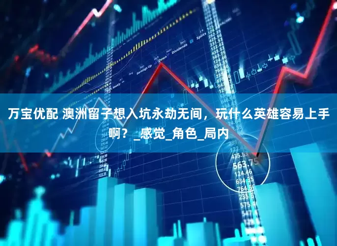 万宝优配 澳洲留子想入坑永劫无间，玩什么英雄容易上手啊？_感觉_角色_局内