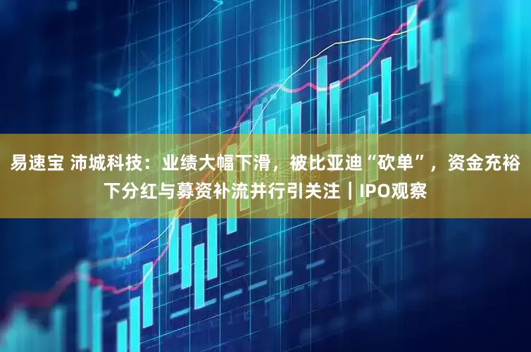 易速宝 沛城科技：业绩大幅下滑，被比亚迪“砍单”，资金充裕下分红与募资补流并行引关注｜IPO观察