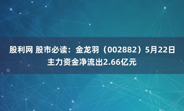 股利网 股市必读：金龙羽（002882）5月22日主力资金净流出2.66亿元