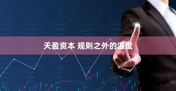 天盈资本 规则之外的温度